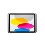 Dame Wall 2.0 - Väggfäste Displine